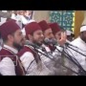 كلمات بص على انوار نبينا